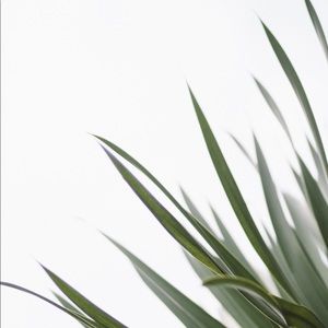 Meet your Posher, Karina